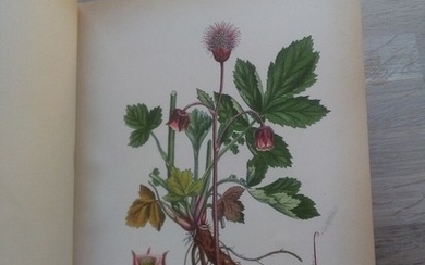 Mentz and Ostenfeld: Billeder af Nordens Flora. 3 vols. Cph 1901–07. 1st ed. With 519 coloured plates. (3)