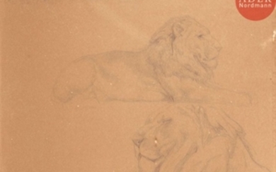 Rosa BONHEUR (1822 1899) Étude de lions Crayon sur…