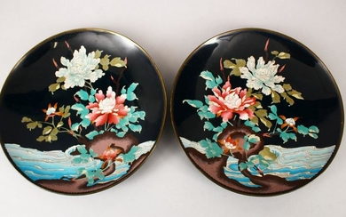A PAIR OF JAPANESE LATE MEIJI PERIOD CLOISONNE DISHES