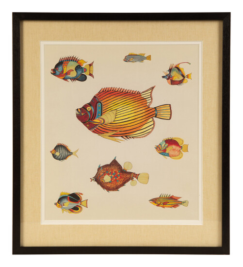 A Suite of Thirteen Framed Giclee Prints of Colorful Tropical Fish