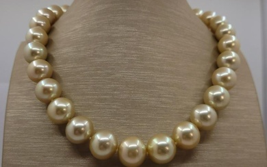 Certified Golden South Sea Pearls - Huge Size 12.2x15.6mm - Necklace