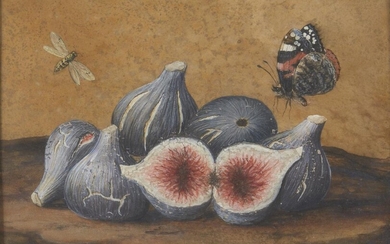 Circle of Giovanna Garzoni, Italian 1600-1670- Still life of figs on a table with a butterfly and bee; bodycolour heightened with white on vellum laid down on panel, bears inscription and number (on the reverse), 16 x 24.2 cm. Provenance: Anon...