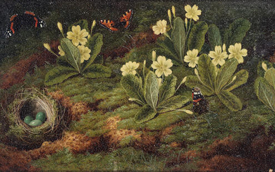 English School 19th Century Primroses, a bird's nest and butterflies on a forest floor