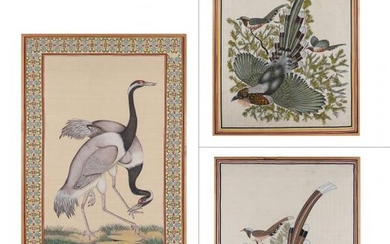 Indian School 19th-20th Century Three Ornithological Studies