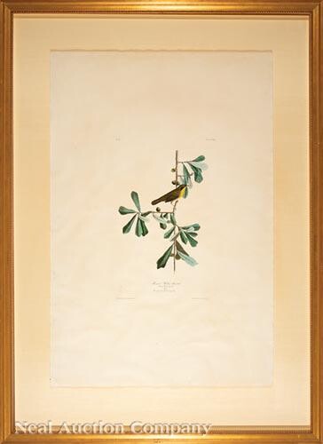 John James Audubon (American, 1785-1851)