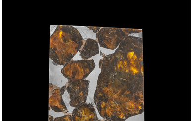 Quijingue Meteorite Slice Pallasite, PMG Bahia, Brazil - (10°...