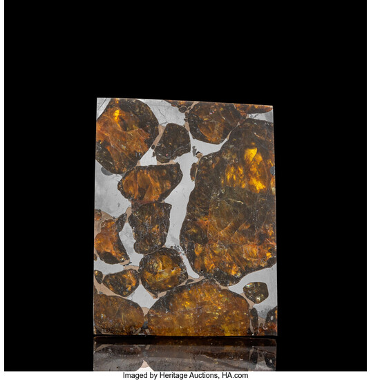 Quijingue Meteorite Slice Pallasite, PMG Bahia, Brazil - (10°...