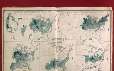 Rare Original 1876 Census Map, U.S. Agricultural