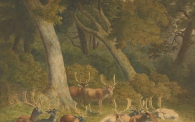 Robert Hills, OWS, British 1769-1844- Stags in a parkland landscape; pencil, watercolour and bodycolour on card, 39.5 x 50.4 cm., (unframed). Provenance: John Earle (according to an inscription on the reverse).; Private Collection, UK.