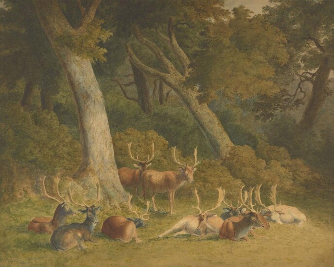 Robert Hills, OWS, British 1769-1844- Stags in a parkland landscape; pencil, watercolour and bodycolour on card, 39.5 x 50.4 cm., (unframed). Provenance: John Earle (according to an inscription on the reverse).; Private Collection, UK.