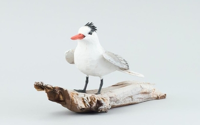 STAN SPARRE MINIATURE ROYAL TERN Mounted on a driftwood base. Signed "Star Sparre Cape Cod" on base. Height 4". Length 9.5".