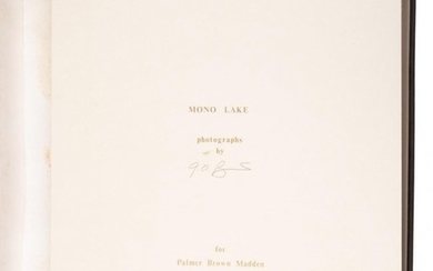 Seventeen photographic views of Mono Lake