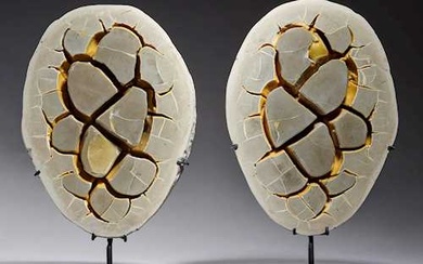 TWO SEPTARIAN NODULES