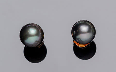 Yellow gold earrings with 10 mm gray Tahitian pearl....