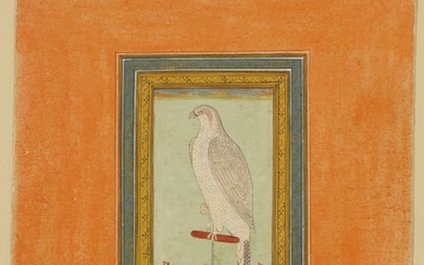 A PAINTING OF A FALCON, PROVINCIAL MUGHAL, 19TH CENTURY