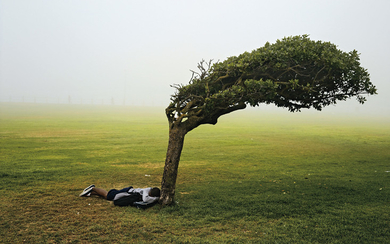 Pieter Hugo, Green Point Common, Cape Town from Kin