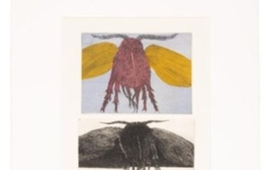 Two insect etchings from Leonard Baskin, AP