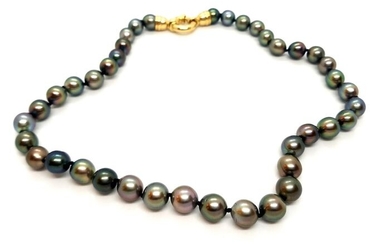 18 kts. Tahitian pearls, Yellow gold, 9 mm - Necklace