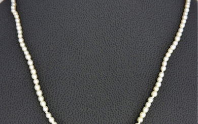18 kt. Natural pearls, Yellow gold - Necklace