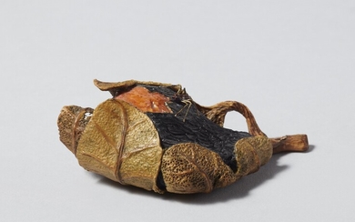 Feuille enroulée autour d'une figue mûre / A ripe fig wrapped in a leaf. Yann Christophe Lemaire. 2006