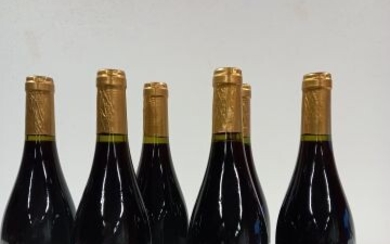 6 bouteilles de Côtes du Rhône 2015 Rouge... - Lot 13 - Enchères Maisons-Laffitte