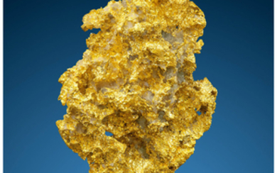Crystallized Gold Presumed Sierra County California, USA This...