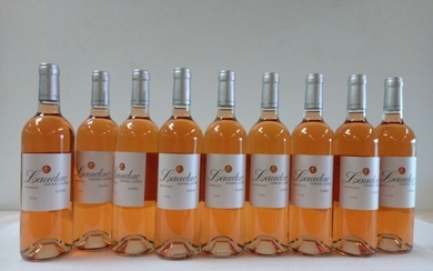 9 bouteilles de Château Lauduc. Bordeaux.... - Lot 13 - Enchères Maisons-Laffitte