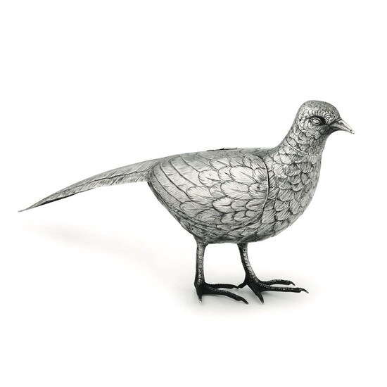 A silver pheasant, Italy (?), 1900s