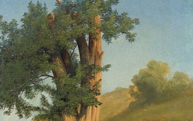ALEXANDRE CALAME(Vevey 1810-1864 Menton)Arbre. 1833-36.Huile sur papier sur toile.42,5 × 33,5 cm.Provenance :Collection privée suisse.Littérature...