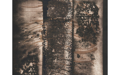 PAOLO MONTI ( 1908 - 1982 ) , Chimigramma 1961 Vintage gelatine silver print with chemical treatments. Unique. Signed, dated verso. Framed. 7.11 x 5.84 in. (15.99 x...