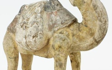 Chinese Tang Dynasty Bactrian Camel