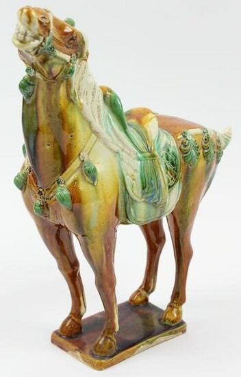 Chinese Tang Dynasty Terra Cotta Horse