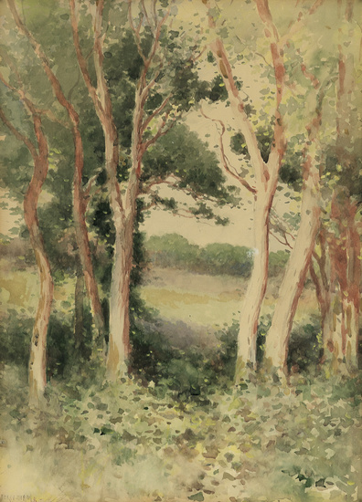 EDWARD PERCY MORAN Forest Clearing. Watercolor on card stock. 425x326 mm; 16 7/8x12...