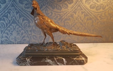 Edouard Delabriere (1829-1912) - Sculpture, pheasant (1) - Bronze - c. 1900