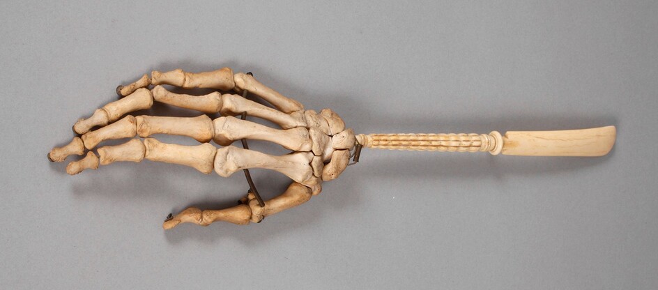 Gratte-dos exceptionnel19e siècle, manche avec chausse-pied rapporté en os finement sculpté, main humaine fixée dessus...