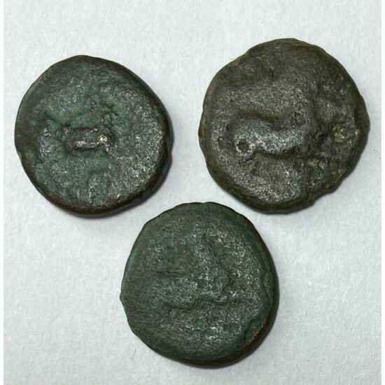 Group of Bronze Ancient Greek Dichalkon Coins