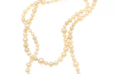 Hartmann's: A long South Sea pearl necklace set numerous with cultured golden South Sea pearls. Pearl diam. app. 9.0–14.5 mm. L. app. 130 cm.