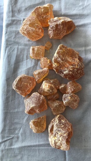 Lot of young amber stones (Koppel) 410 grams