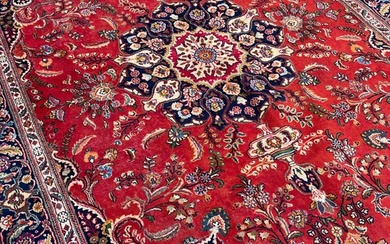 Meshed - Carpet - 340 cm - 210 cm