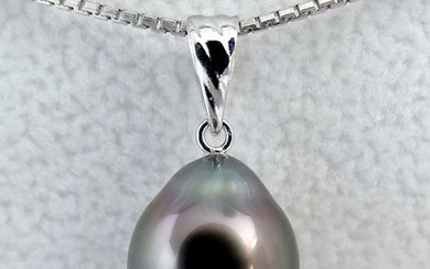 NO RESERVE PRICE - Tahitian pearl, Darker Bronze Peacock Drop-Shaped 10.28 X 12 mm - Pendant, 18 kt. White Gold