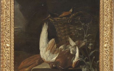 Scuola fiamminga del XVII secolo, Natura morta con piccioni e fringuelli