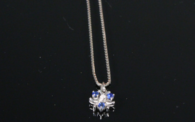 Necklace with sapphire/diamond pendant.