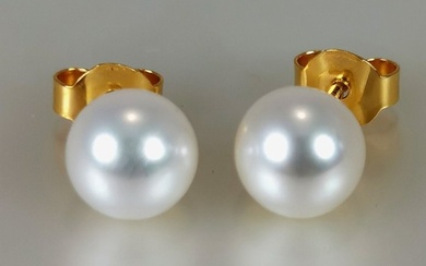 No Reserve Price-Akoya Ø 7,3x7,5 MM - 18 kt. Akoya pearls, Yellow gold - Earrings Akoya Pearl