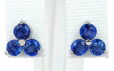 No Reserve Price - Earrings - 14 kt. White gold Sapphire