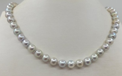 No Reserve Price Necklace - 7.5x8mm Silvery Akoya Pearls