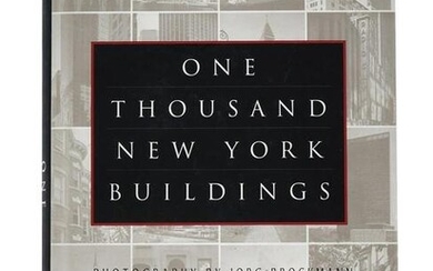 ONE THOUSAND NEW YORK BUILDINGS BY JORG BROCKMANN