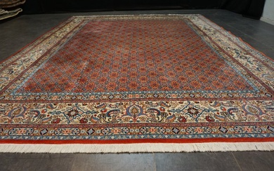 Perser moud - Carpet - 303 cm - 236 cm