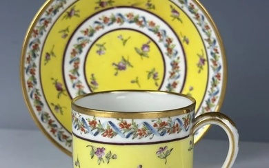 SEVRES YELLOW GROUND CUP AND SAUCER CIRCA 1800