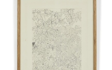Sam SZAFRAN (1934 - 2019) Philodendrons - 1976 Eau-forte en noirEau-forte en noir