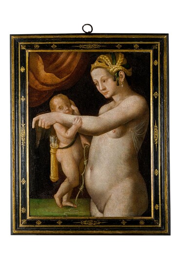 Scuola Danubiana (XVI sec.), Venus and Cupid